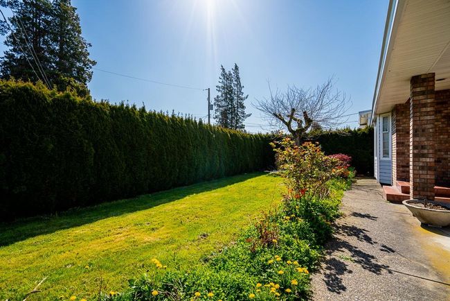 View of yard | Image 8