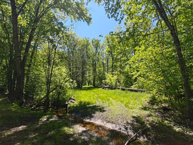 10830 3 Mile Rd, Home with 0 bedrooms, 0 bathrooms and null parking in Branch MI | Image 15