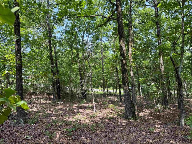38 High Point Dr, Home with 0 bedrooms, 0 bathrooms and null parking in Mayflower AR | Image 12