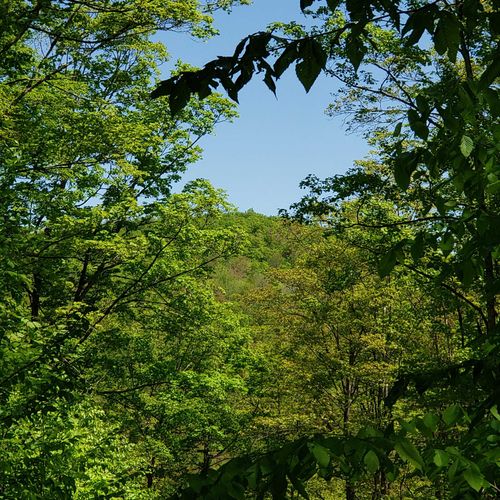 00 Beaver Meadow Rd, Roxbury, VT, 05669 | Card Image