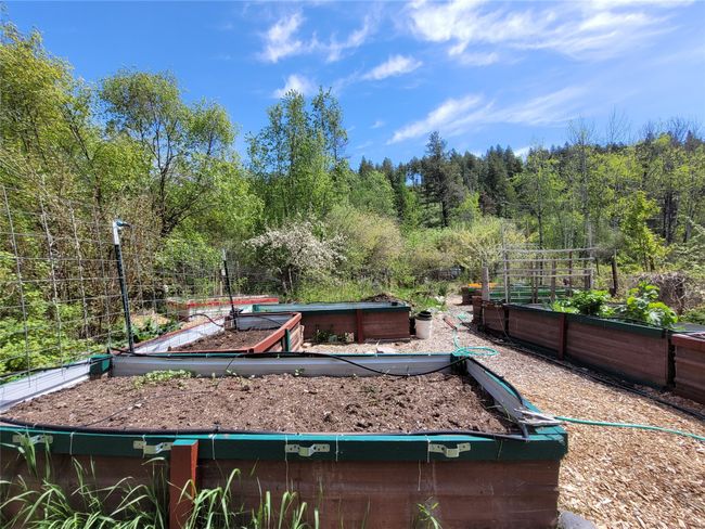 View of yard with a garden and a view of trees | Image 93