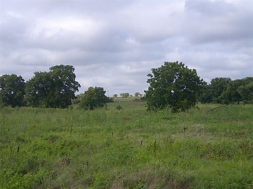 Tr 5 West Rc, Bowie, TX, 76230 | Card Image