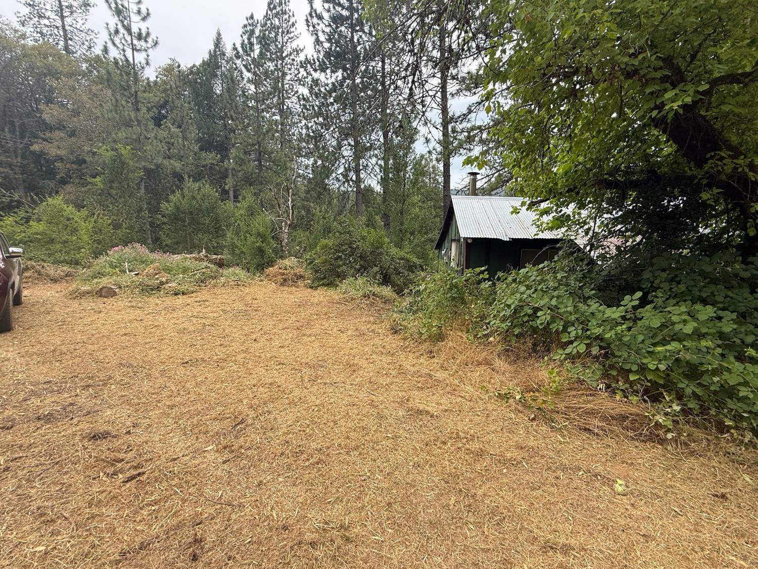 Residential in Nevada City 5