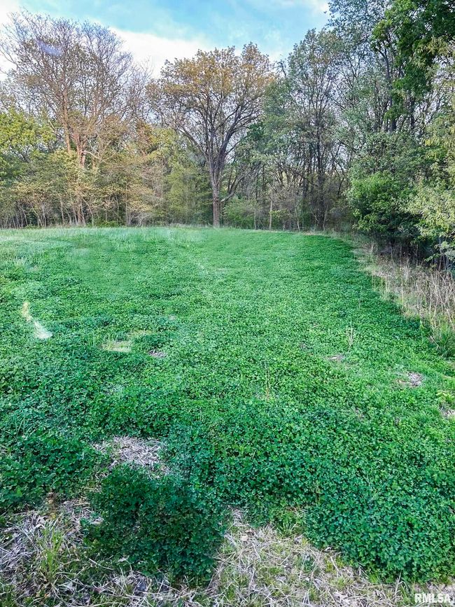 0 N Chambers Rd, Home with 0 bedrooms, 0 bathrooms and null parking in Smithfield IL | Image 15