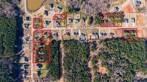 Lot #18 Tdb Bralan, Diana, TX, 75640 | Card Image