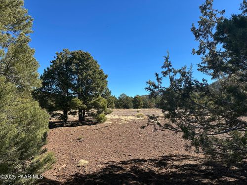 10379 N Overlook Dr, Williams, AZ, 86046 | Card Image