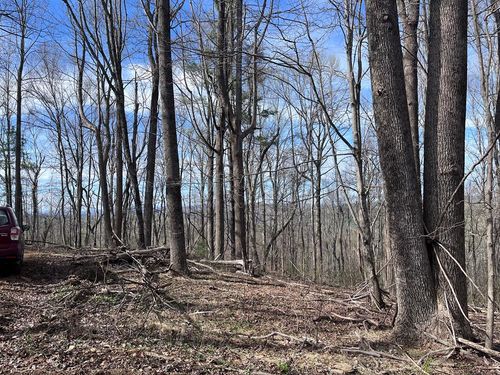 TBD Calvary Way Rd, Laurel Fork, VA, 24352 | Card Image