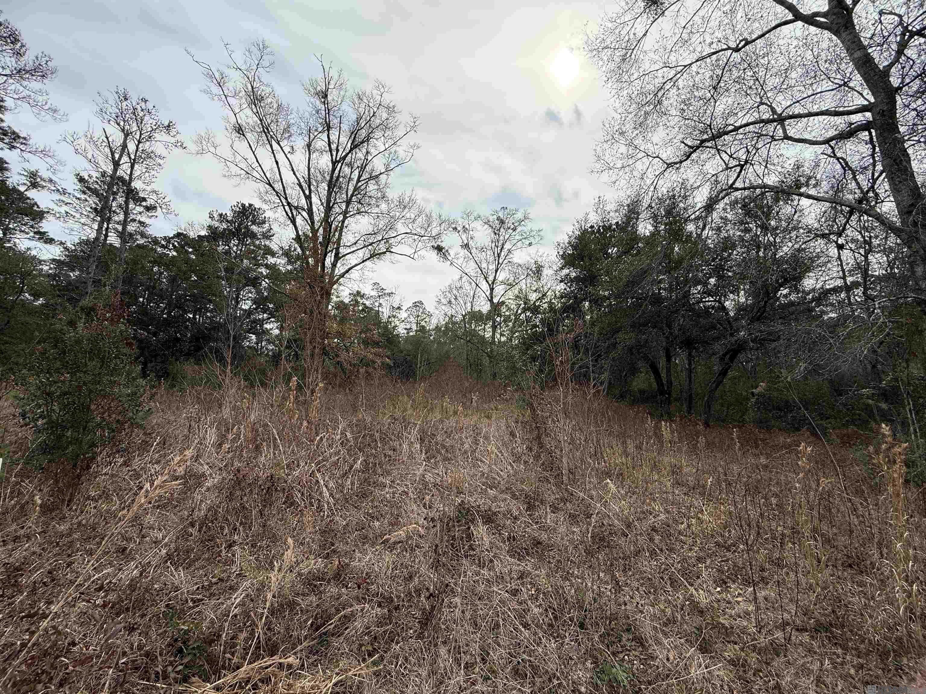 Land in Lacombe 3