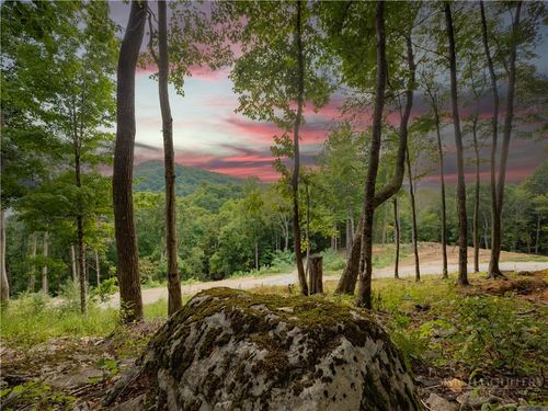 C120 Springwater Lane, Banner Elk, NC, 28604 | Card Image