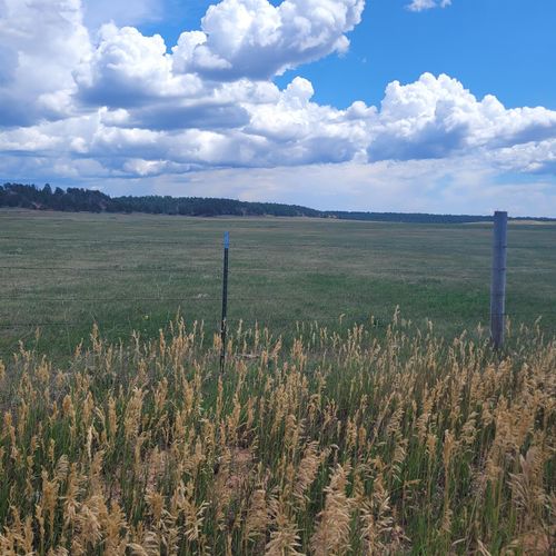 TBD Valley Road, Custer, SD, 57730 | Card Image