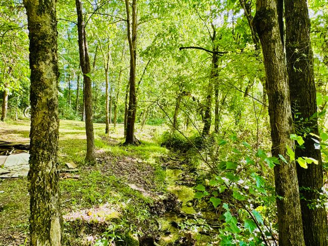 211 Clemon Rd, House other with 1 bedrooms, 1 bathrooms and null parking in Whitesburg TN | Image 11