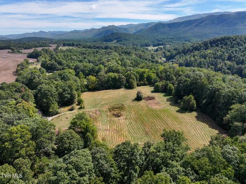 250 Bill Martin Road, Afton, TN, 37616 | Card Image