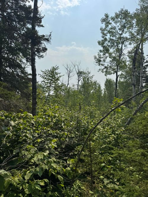 XX High Ridge Dr, Schroeder, MN, 55613 | Card Image