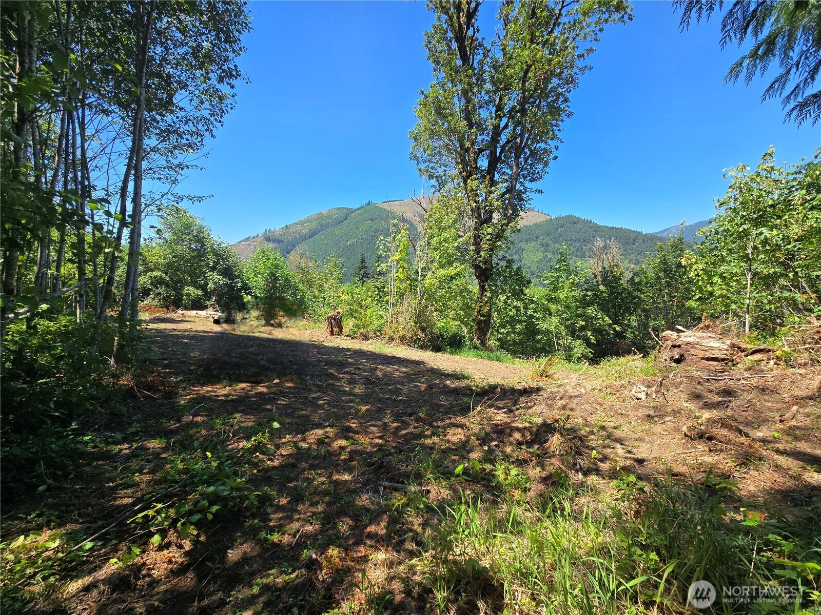 Land in Morton 4