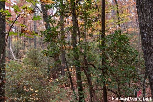 00 Chimney Mountain Flats Trl, Clarkesville, GA, 30523 | Card Image