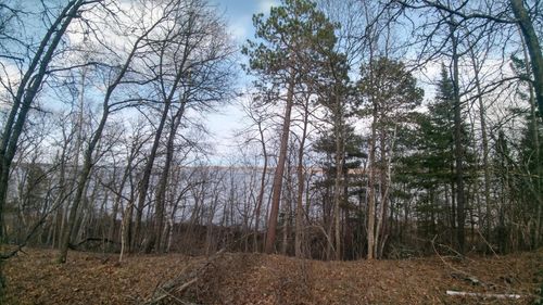 50126 County 29, Bemidji, MN, 56601-6768 | Card Image