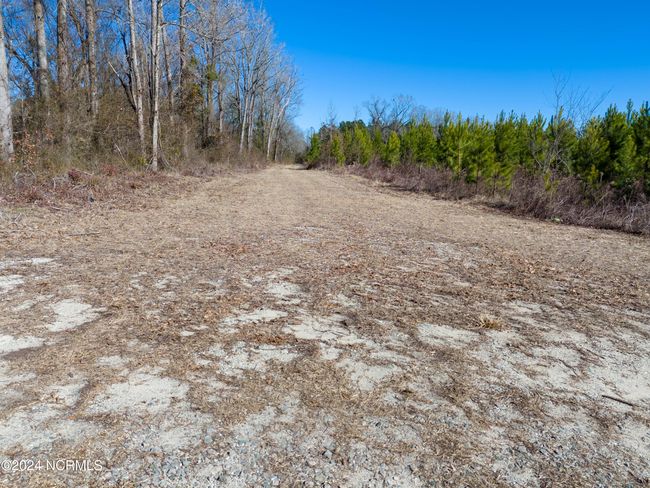 00 Sykes Town Rd, Home with 0 bedrooms, 0 bathrooms and null parking in Currie NC | Image 24