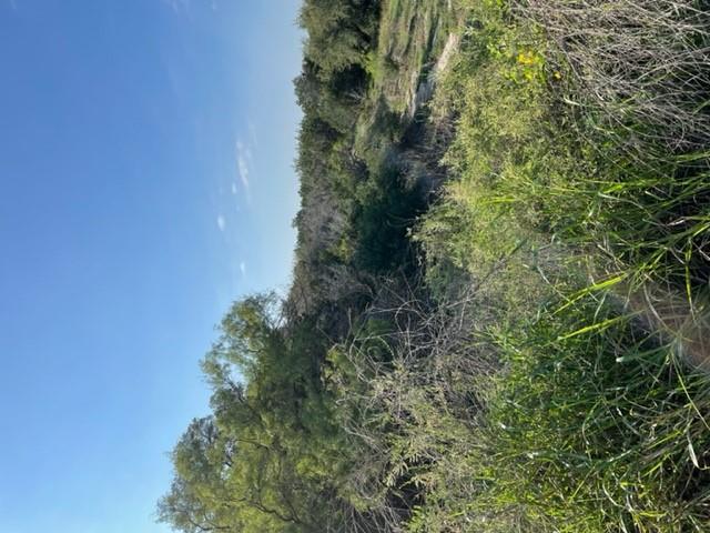 Land in Horseshoe Bay 5