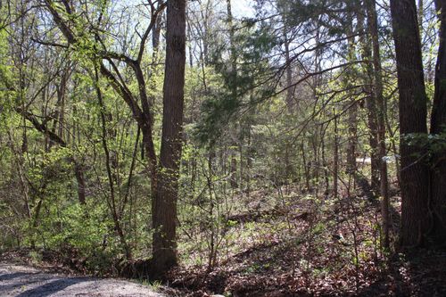 Lot #308 Elm Lane, Shell Knob, MO, 65747 | Card Image