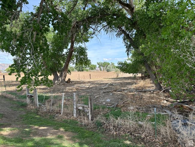 View of yard with a rural view and fence | Image 12