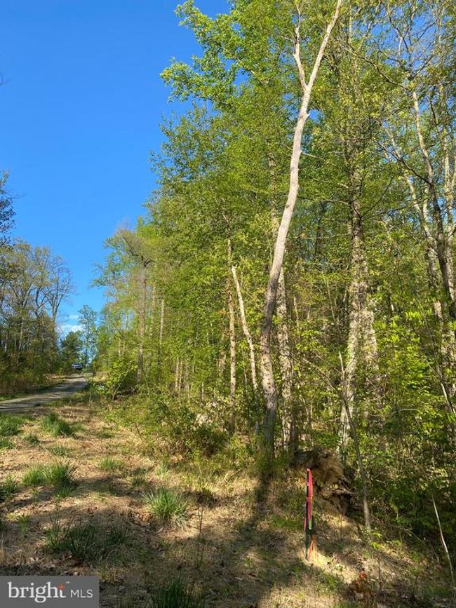 0 Revenooer Rd, Home with 0 bedrooms, 0 bathrooms and null parking in MADISON VA | Image 5