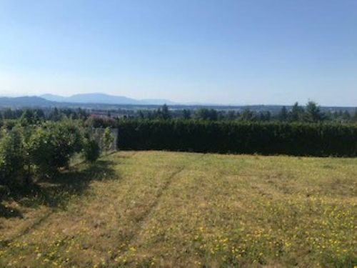 32882 12th Ave, Mission, BC, V2V2M6 | Card Image