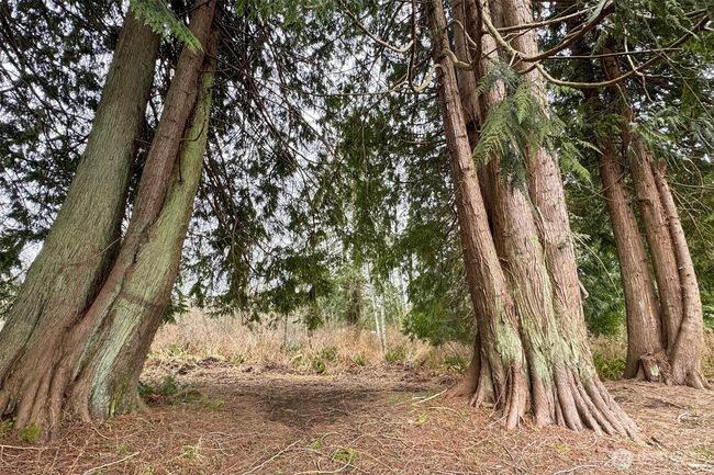 15 Green Belt Dr, House other with 2 bedrooms, 2 bathrooms and null parking in Port Angeles WA | Image 24