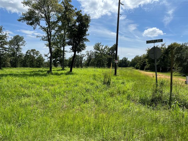 000 Hickory Loop, Home with 0 bedrooms, 0 bathrooms and null parking in Thornton TX | Image 6