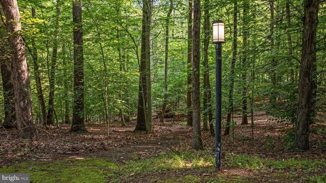 11656 Sandal Wood Ln, House other with 4 bedrooms, 5 bathrooms and null parking in MANASSAS VA | Image 72