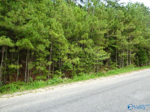 Lot 20 Arley Landing Drive, ARLEY, AL, 35541 | Card Image