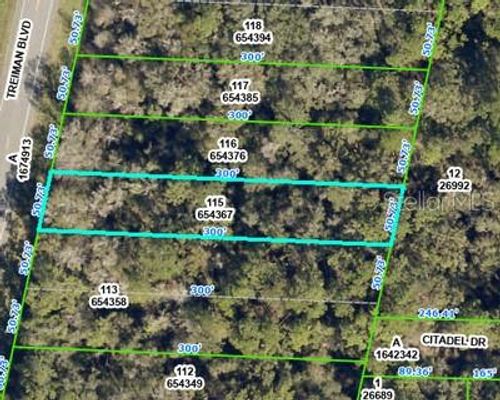 8388 Treiman Blvd, WEBSTER, FL, 33597 | Card Image