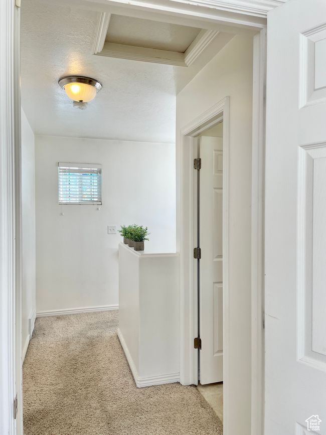 Corridor featuring carpet floors and baseboards | Image 20