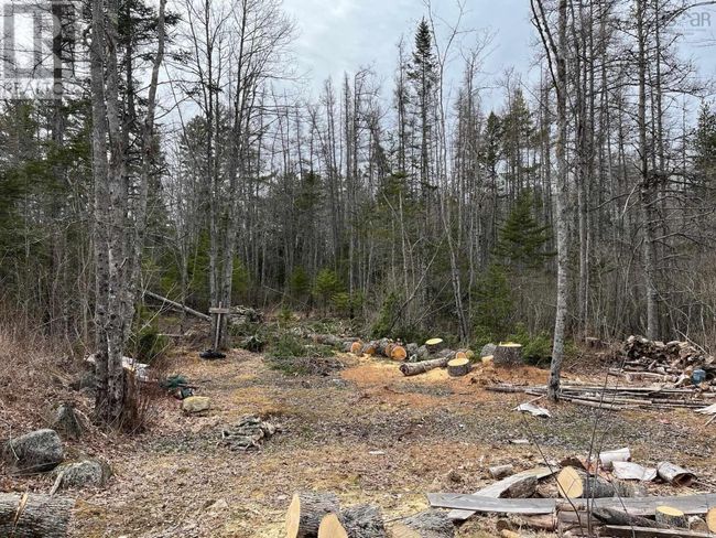 11799 Highway 8, Home with 0 bedrooms, 0 bathrooms and null parking in Caledonia NS | Image 22