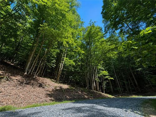 146 Sassafrass Rd, Beech Mountain, NC, 28604-8178 | Card Image