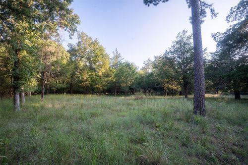 Lots 2, 3, 47 & 48 Kings Country Blvd, Scroggins, TX, 75480 | Card Image