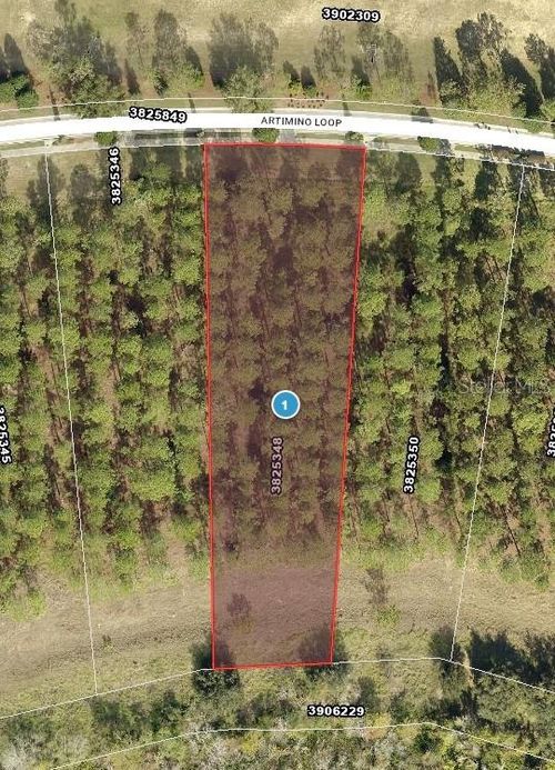 16748 Artimino Loop, BELLA COLLINA, FL, 34756-3610 | Card Image