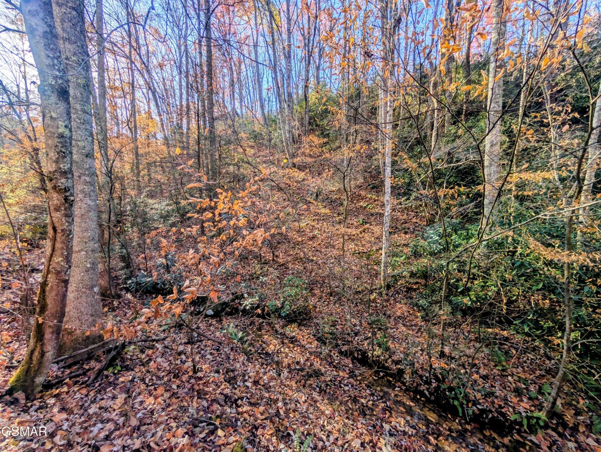 Land in Sevierville 4