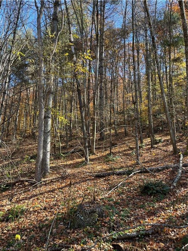 1972 Big Horse Creek Rd, House other with 3 bedrooms, 2 bathrooms and null parking in Lansing NC | Image 9