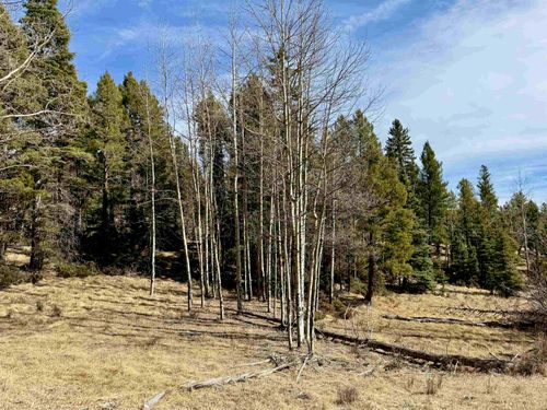 Lot 1024 Starshine Overlook, Angel Fire, NM, 87710 | Card Image