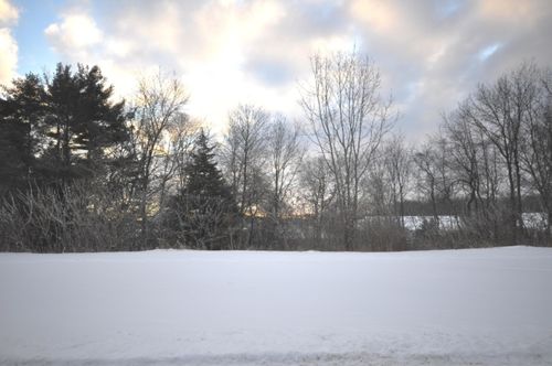2626 Hunters Pt, Kalamazoo, MI, 49048-6105 | Card Image
