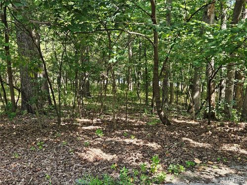 TBD Azelia Lane, Hillsboro, MO, 63050 | Card Image