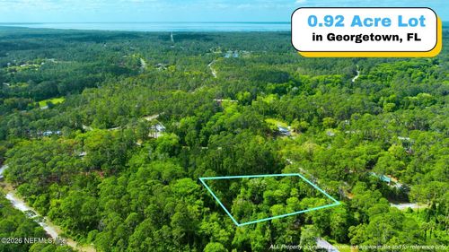 102 Hyacinth Ct, Georgetown, FL, 32139-2310 | Card Image