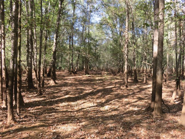 9795 S Us Highway 59, Home with 0 bedrooms, 0 bathrooms and null parking in Nacogdoches TX | Image 19