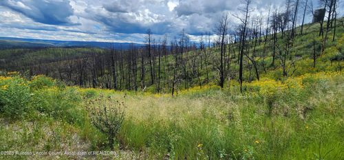 108 Big Pines Pl, Ruidoso, NM, 88345 | Card Image