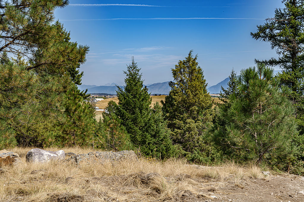 Land in Kalispell 3