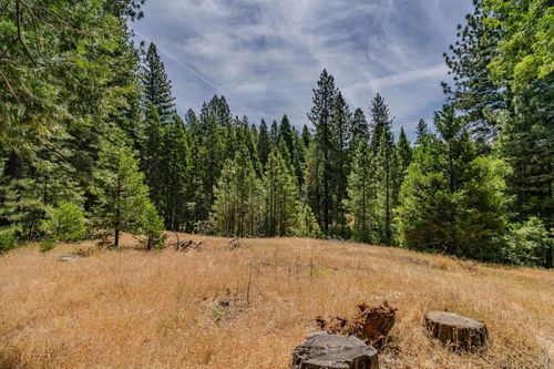 17770 Gold Creek Trl, Volcano, CA, 95689-9790 | Card Image