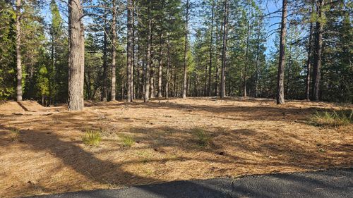 2801 Harkness St, Georgetown, CA, 95634-9407 | Card Image