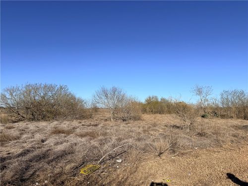 00 E Oregon St, Bishop, TX, 78343 | Card Image