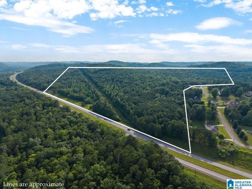 1-Lot #6 Highway 75, Oneonta, AL, 35121 | Card Image