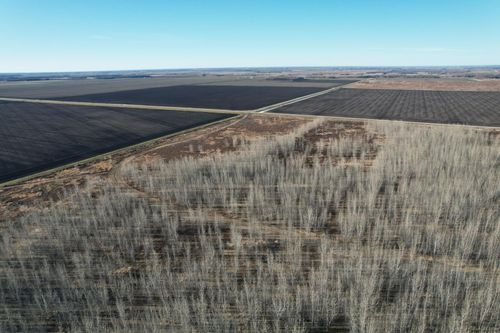 TBD State Highway 220 Nw, Stephen, MN, 56757 | Card Image